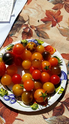 A Plateful of Flavor and Color A Plateful of Flavor and Color