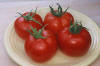Tomato Early Girl Tomato Early Girl
