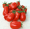 Tomato San Marzano Tomato San Marzano
