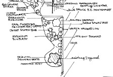 Cottage Garden Plan