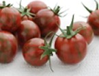 Tomato Purple Bumblebee Tomato Purple Bumblebee
